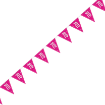 Pink/Silver Glitz Foil Prism Age 70 Flag Banner 9FT