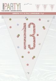 Rose Gold Glitz Age 13 Prism Flag Banner 9ft