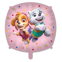 Paw Patrol Sky & Everest Squared 18" Foil Balloon