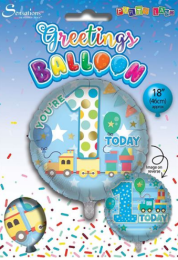 Age 1 Birthday Boy 18