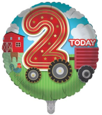 Age 2 Birthday Boy 18