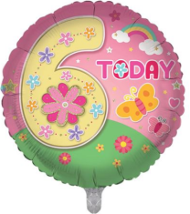 Age 6 Birthday Girl 18