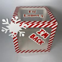 Christmas Elf I'm Back Balloon Box 30x30x30cm
