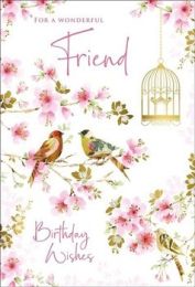 Happy Birthday - Wonderful Friend (Male/Female)  - Pack Of 12
