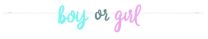 Gender Reveal Party 7ft Paper Banner