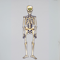 Halloween Jointed Skeleton