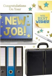 New Job - Male - Pack Of 12