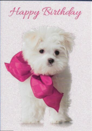 Happy Birthday - Open - Pack Of 12